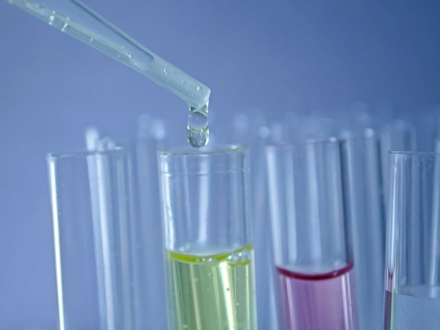 Free water quality testing in Wollongong